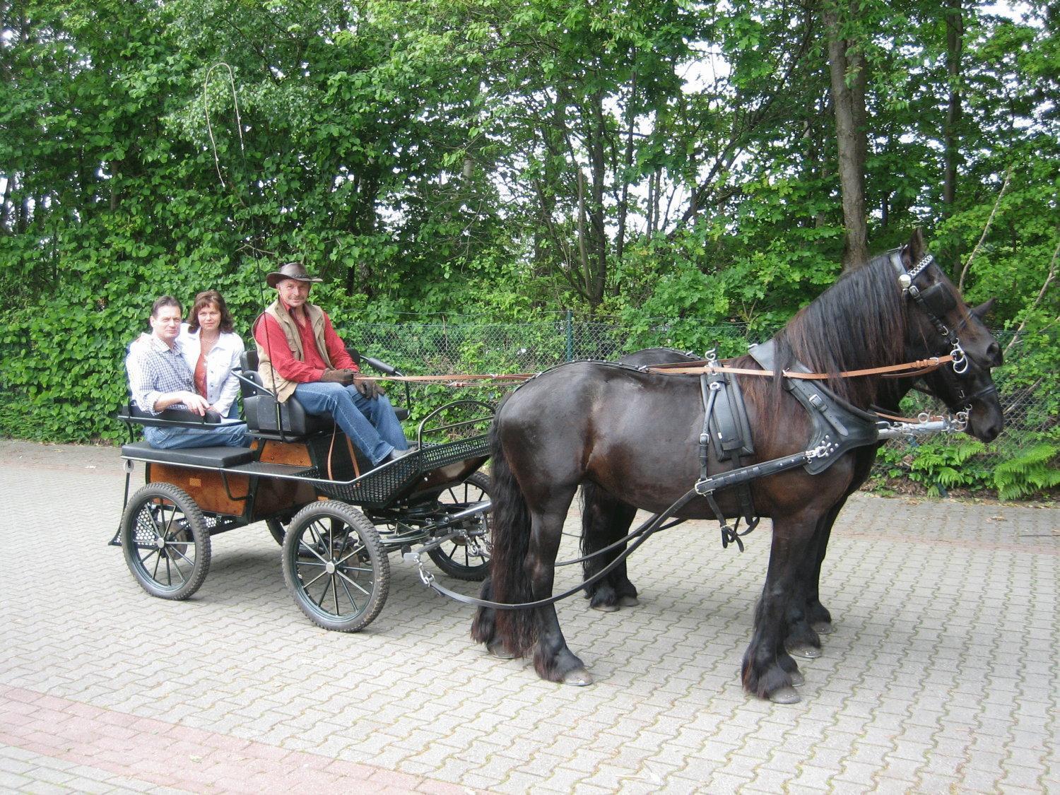 Hotel Graf Balduin Esterwegen 외부 사진